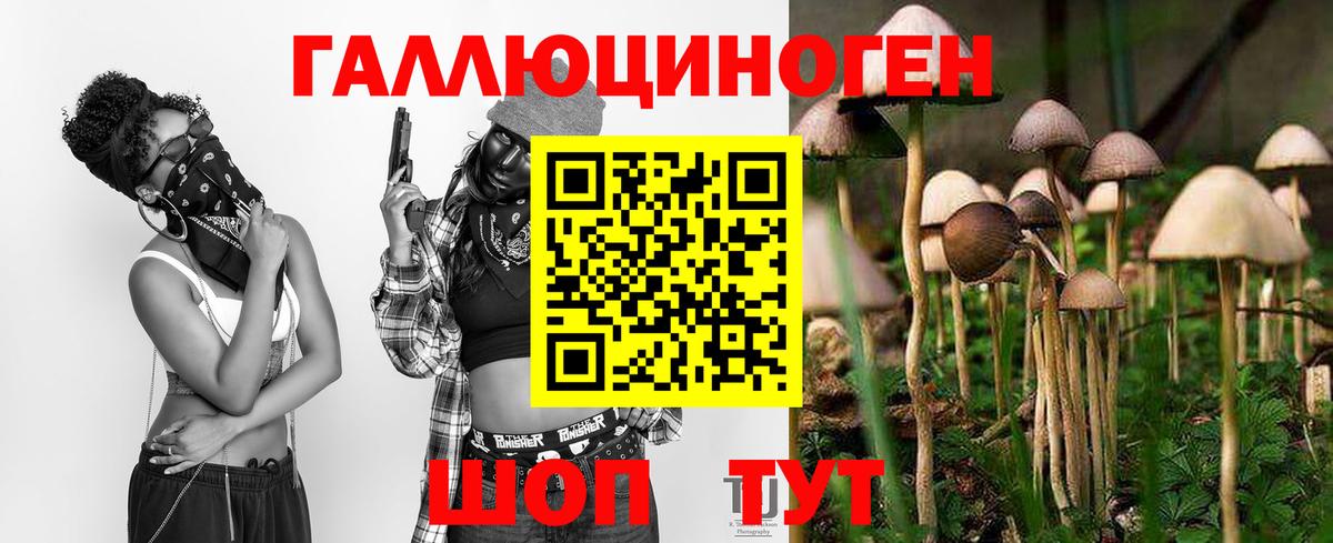 Псилоцибиновые грибы Psilocybe  Псилоцибиновые грибы мицелий  где найти   Гагарин  Вход с VPN 
